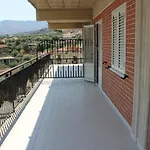 Ulivo Trabia