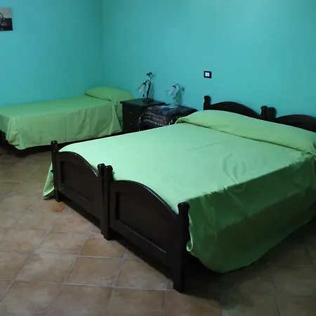 Ulivo 3*